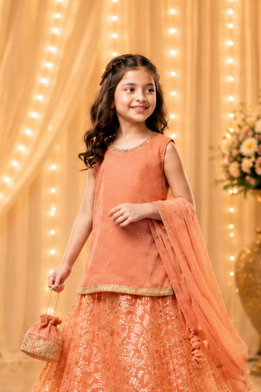 4 - piece Hand embroidered Sharara Suit with Dupatta and Batwa.G10 (peach)