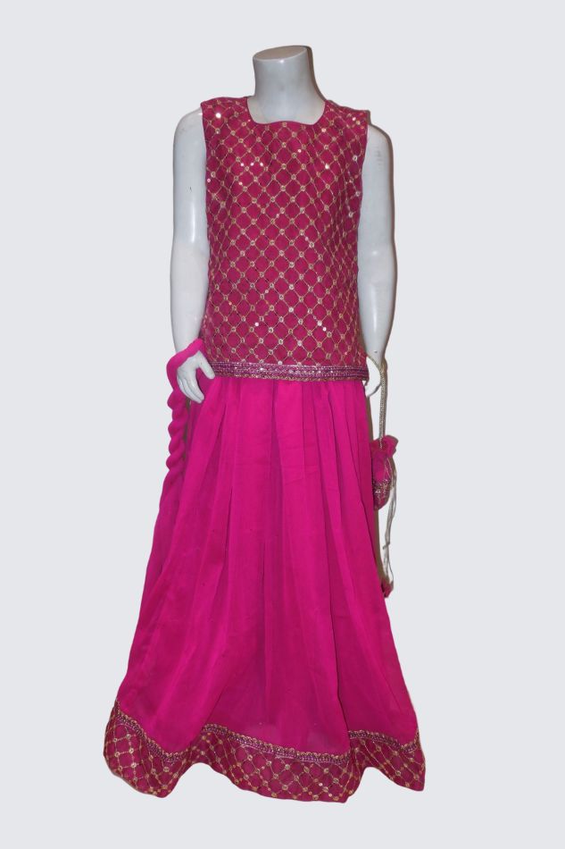 Organza Blouse with sharara - Pinks & Blues 