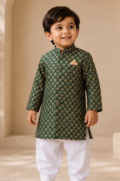 Sherwani B3059 (green)